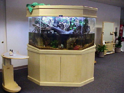 One of our first habitats, this backdrop was faux rock