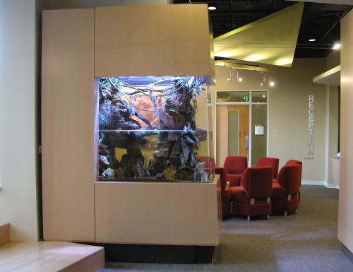 This tank separates the waiting area from the reception desk