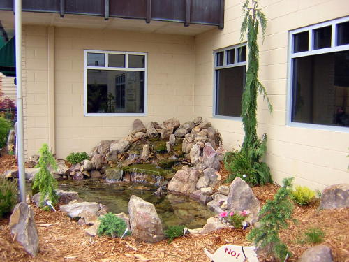 The main waterfall fills the corner of this vet's office