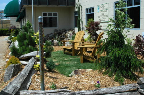 The conifers provide year-round color for the garden