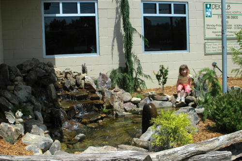 Water spills from the upright rock in the middle of the pond.  